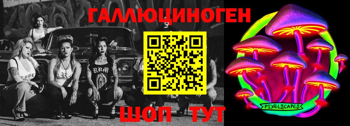 где купить наркотик  Вход с VPN  Калининград  Псилоцибиновые грибы Cubensis 