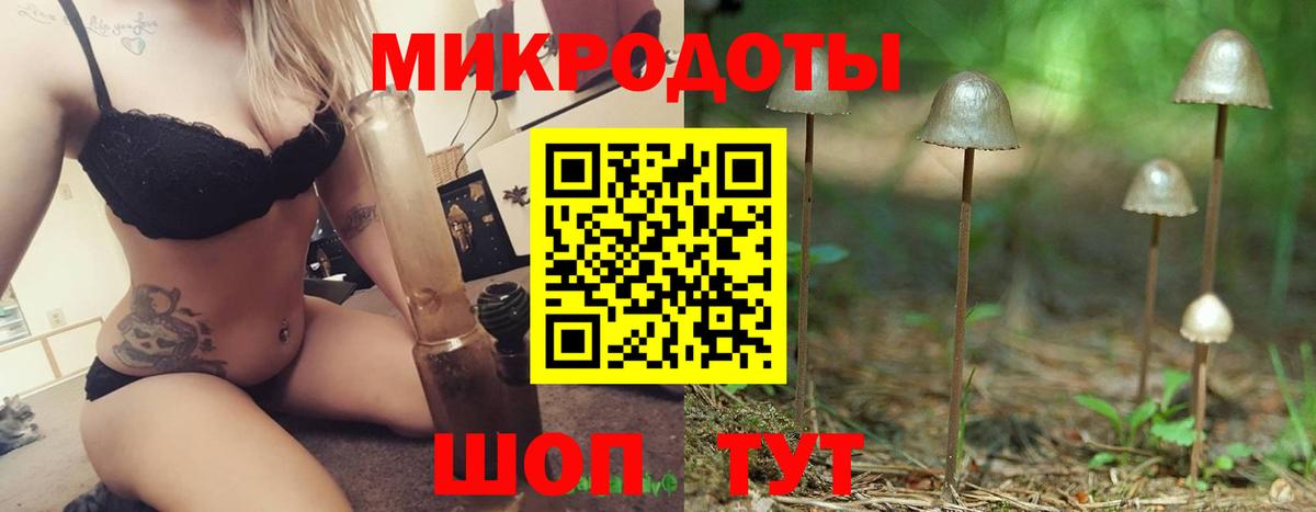 Галлюциногенные грибы мухоморы Калининград